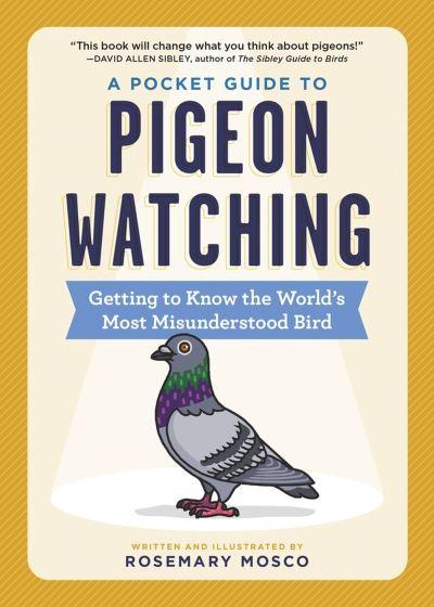 A Pocket Guide To Pigeon Watching