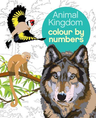 Animal Kingdom Colour By Numbers