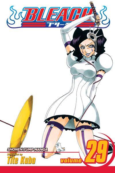 Bleach. Vol. 29