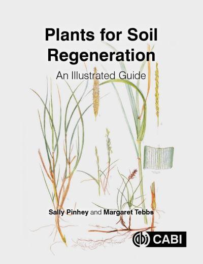 Plants For Soil Regeneration