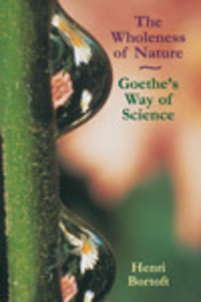 The Wholeness of Nature