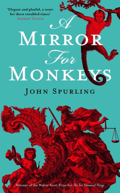 A Mirror For Monkeys