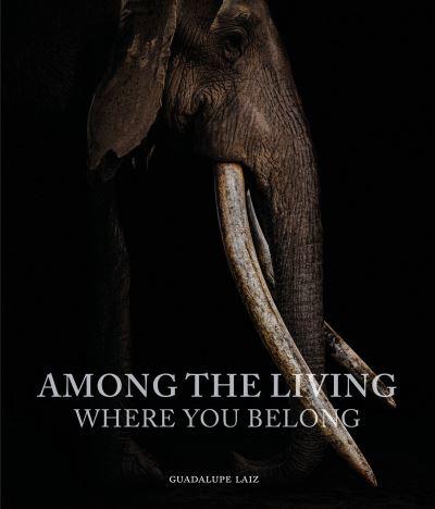 Among the Living, Where You Belong