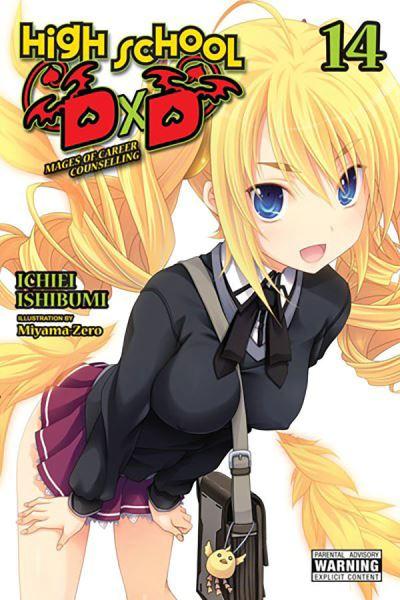 High School DxD, Vol. 14 (Light Novel)