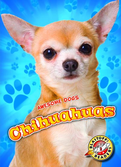 Chihuahuas