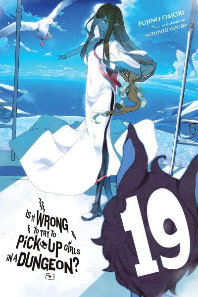 Is It Wrong To Try To Pick Up Girls in a Dungeon?, Vol. 19 (Light Novel)