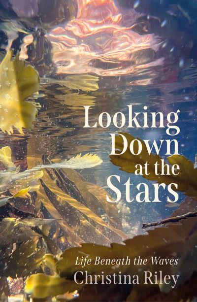 Looking Down At the Stars