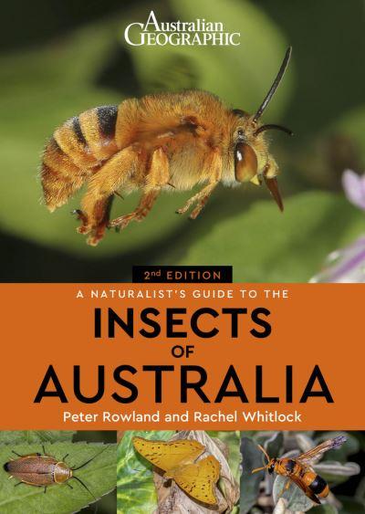 A Naturalist's Guide To the Insects of Australia