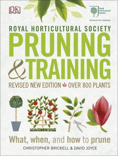 Pruning & Training