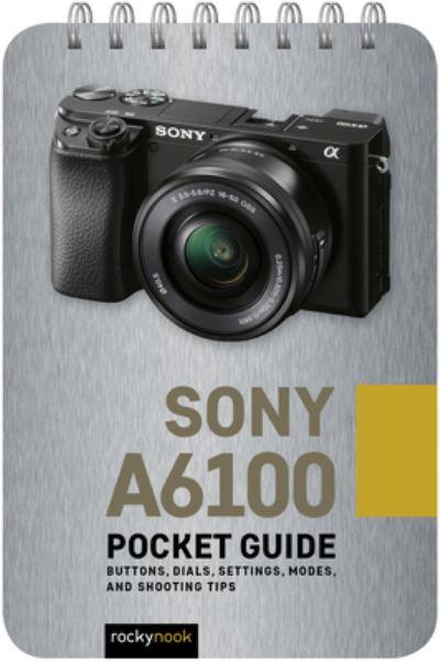 Sony A6100