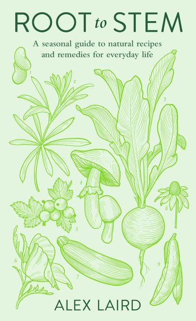 Root To Stem