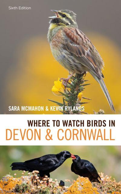 Where To Watch Birds in Devon and Cornwall