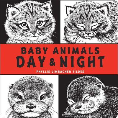 Baby Animals Day and Night
