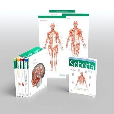 Sobotta Atlas of Anatomy
