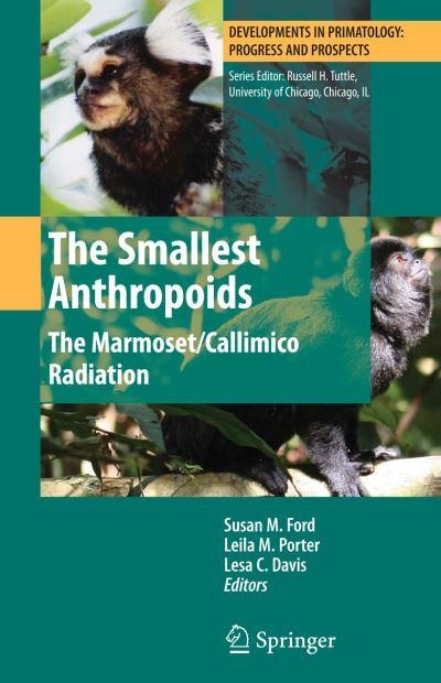 The Smallest Anthropoids