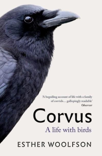 Corvus