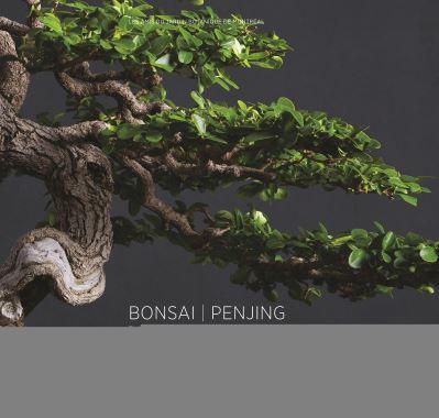 Bonsai | Penjing