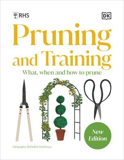 Pruning and Training
