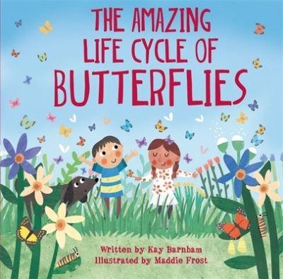 The Amazing Life Cycle of Butterflies
