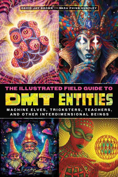 The Illustrated Field Guide To DMT Entities