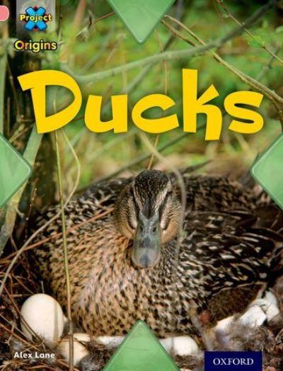 Ducks
