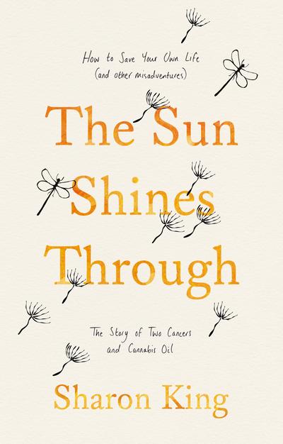 The Sun Shines Through