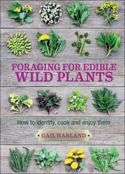 Foraging For Edible Wild Plants