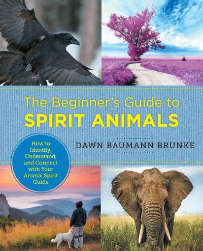 Beginner's Guide To Spirit Animals