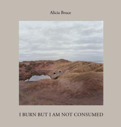 I Burn but Am Not Consumed