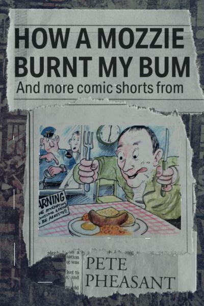 How A Mozzie Burnt My Bum And More Comic Shorts From...