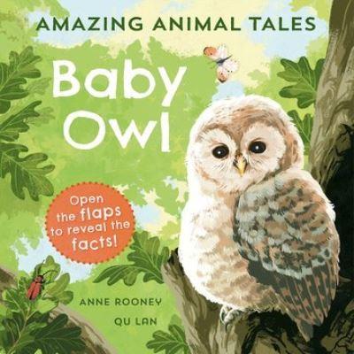 Baby Owl