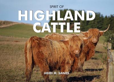 Spirit of Highland Cattle