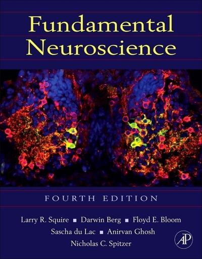 Fundamental Neuroscience