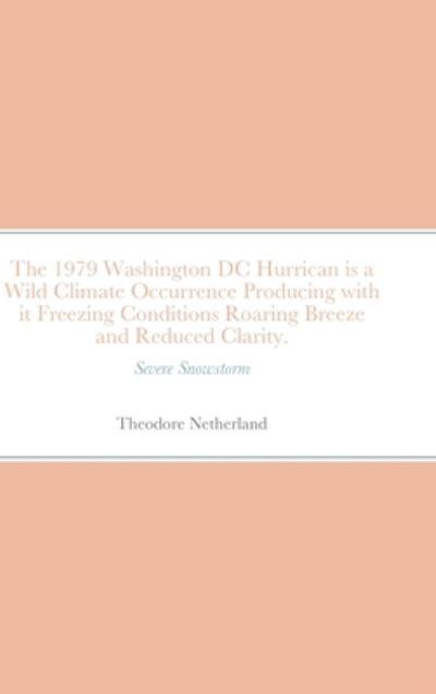 The 1979 Washington DC Hurrican Is a Wild Climate Occurrence Producing With it Freezing Conditions Roaring Breeze and Reduced Clarity.