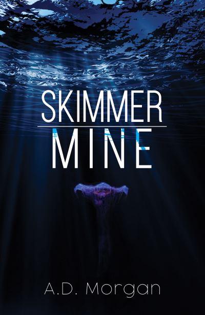 Skimmer