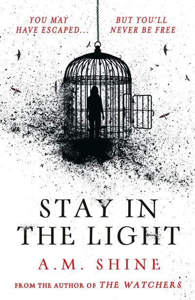 Stay in the Light