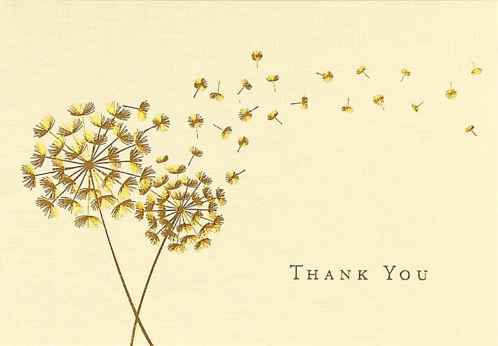 Peter Pauper 14 Pack Thank You Cards  Dandelion Wishes