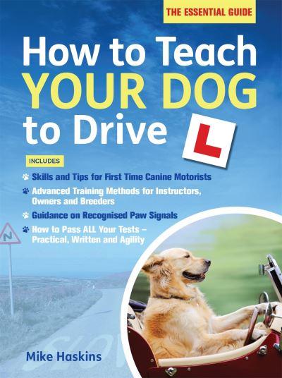 How To Teach Your Dog To Drive