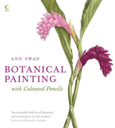 Botanical Painting With Coloured Pencils