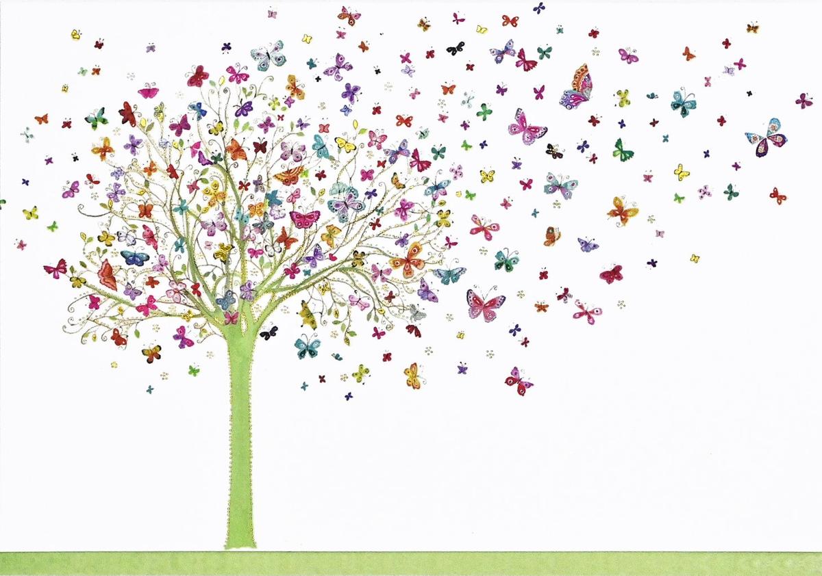 Peter Pauper 14 Pack Note Cards  Tree Of Butterflies