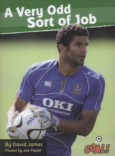 A Very Odd Sort of Job