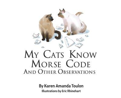 My Cats Knows Morse Code And Other Observations