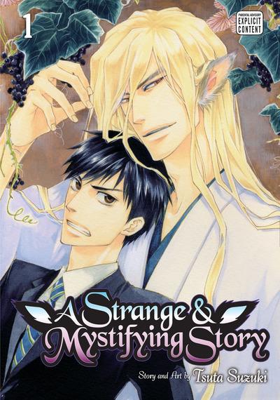 A Strange and Mystifying Story. Volume 1