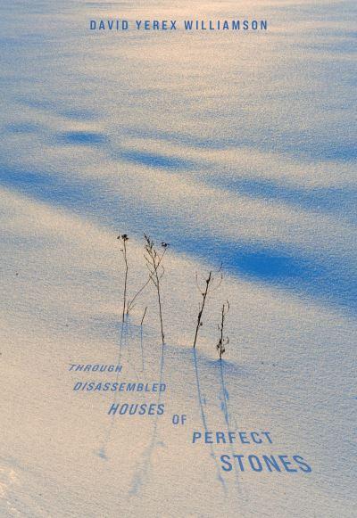 Through Disassembled Houses of Perfect Stones