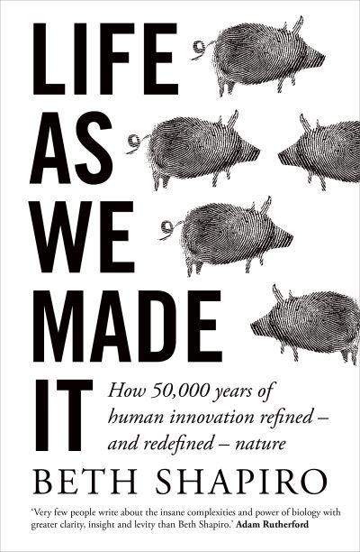 Life As We Made it