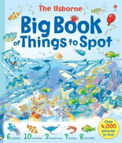 The Usborne Big Book of Things To Spot