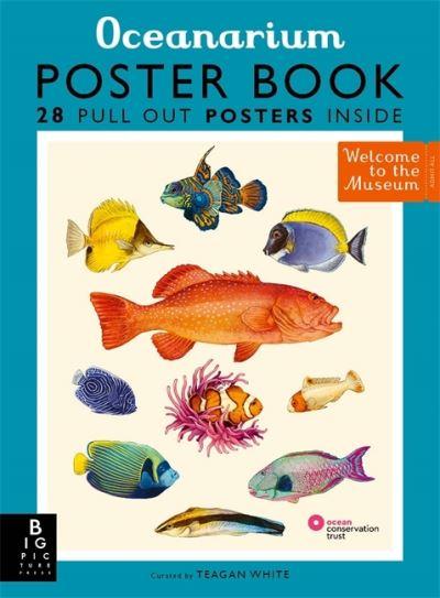 Oceanarium Poster Book P/B