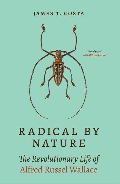 Radical By Nature