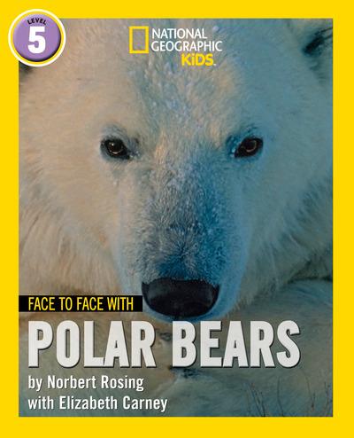 Face To Face With Polar Bears