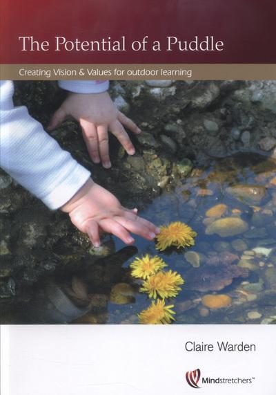 The Potential of a Puddle